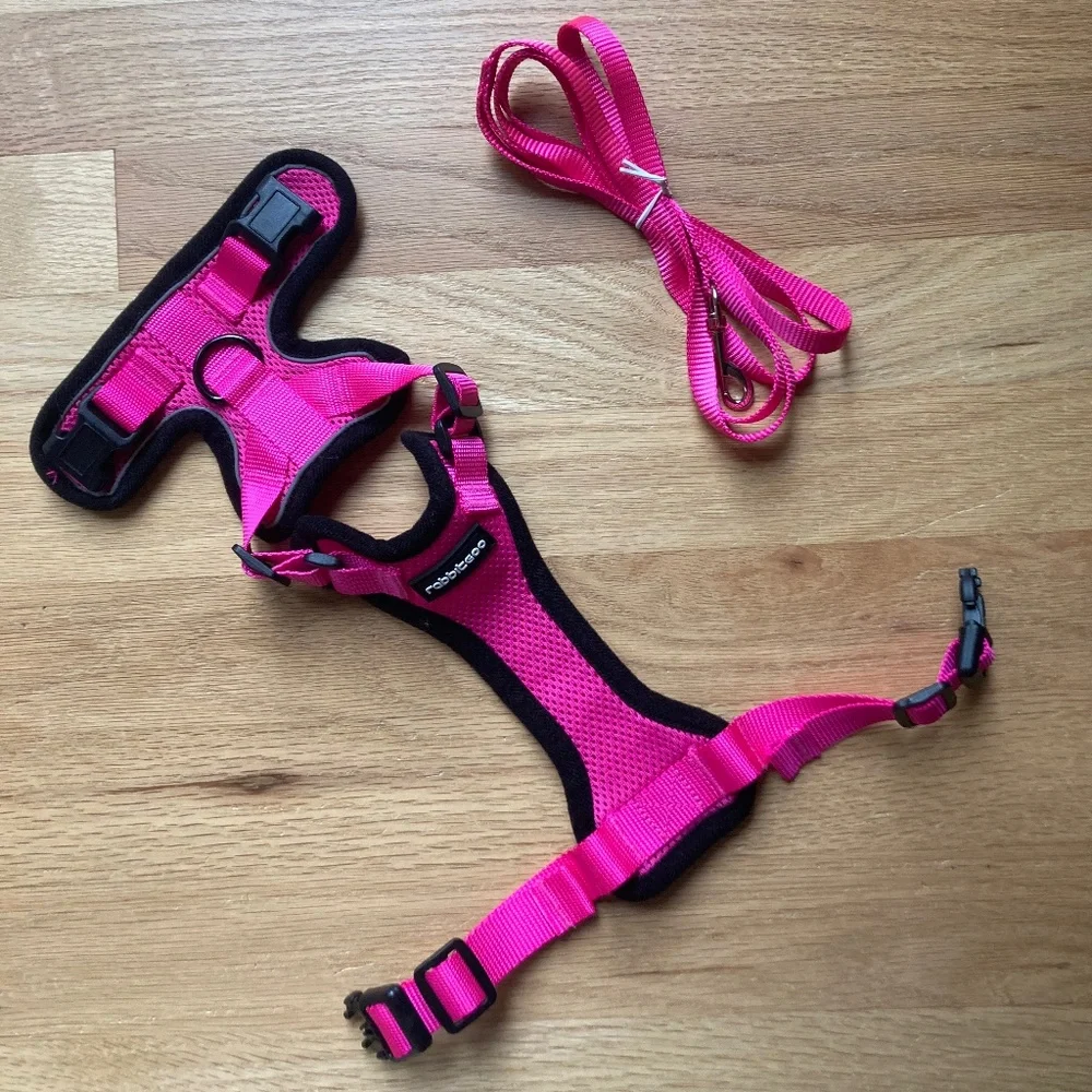 NIP Rabbitgoo Cat Harness and Leash + New Voyager Harness